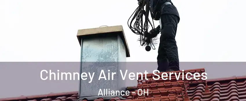  Chimney Air Vent Services Alliance - OH