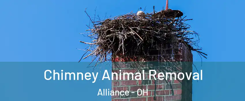 Chimney Animal Removal Alliance - OH