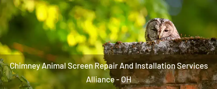  Chimney Animal Screen Repair And Installation Services Alliance - OH