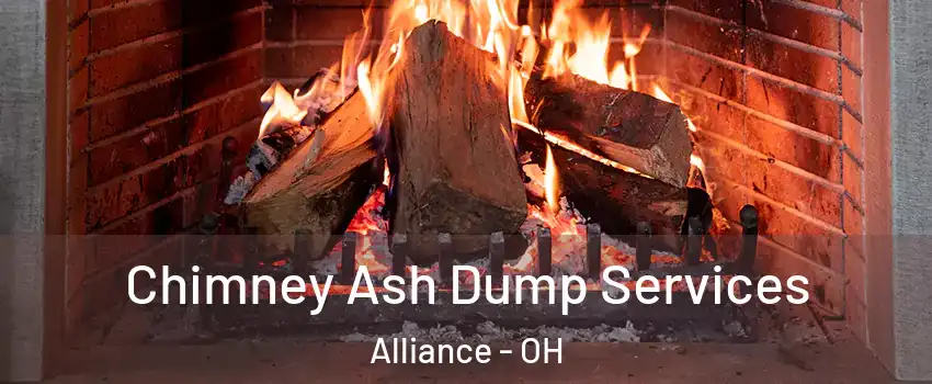  Chimney Ash Dump Services Alliance - OH