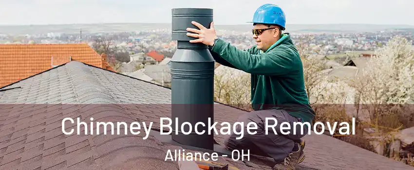 Chimney Blockage Removal Alliance - OH