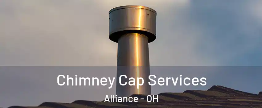  Chimney Cap Services Alliance - OH