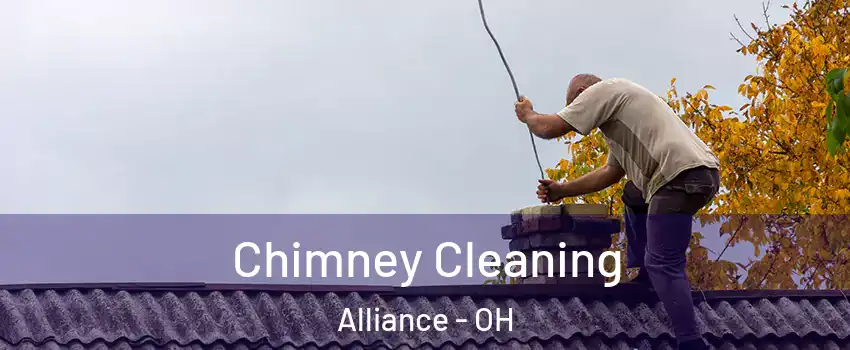  Chimney Cleaning Alliance - OH