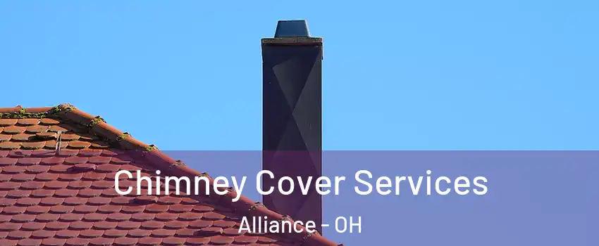  Chimney Cover Services Alliance - OH