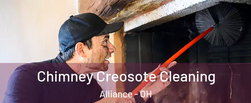  Chimney Creosote Cleaning Alliance - OH
