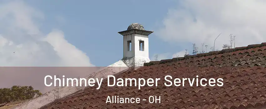  Chimney Damper Services Alliance - OH