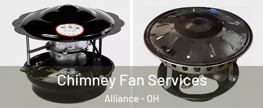  Chimney Fan Services Alliance - OH