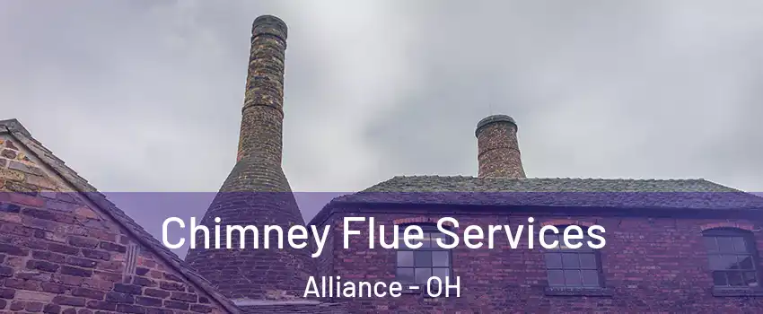  Chimney Flue Services Alliance - OH