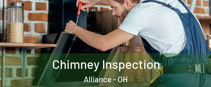  Chimney Inspection Alliance - OH