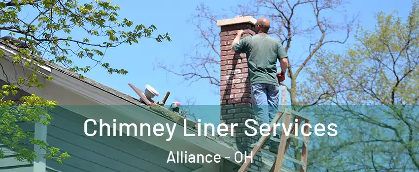  Chimney Liner Services Alliance - OH