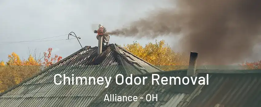  Chimney Odor Removal Alliance - OH
