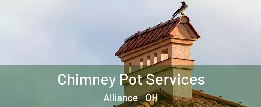  Chimney Pot Services Alliance - OH