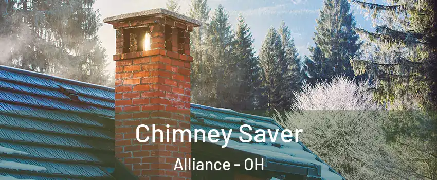  Chimney Saver Alliance - OH