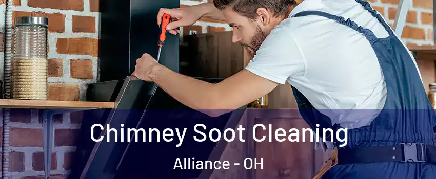  Chimney Soot Cleaning Alliance - OH