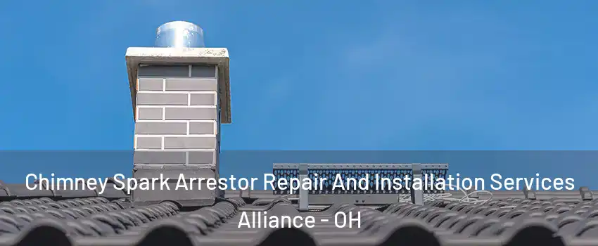  Chimney Spark Arrestor Repair And Installation Services Alliance - OH
