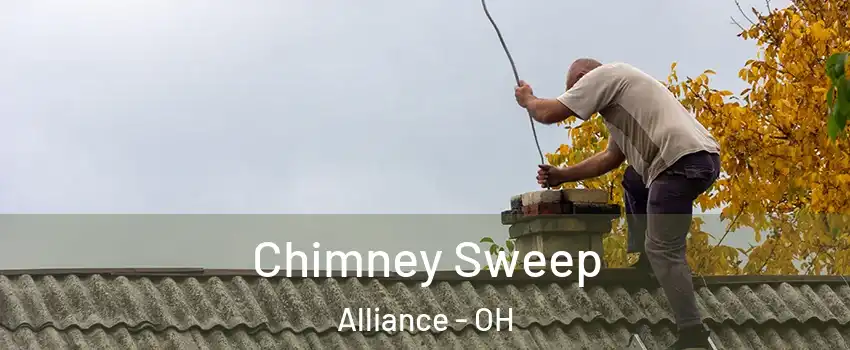  Chimney Sweep Alliance - OH