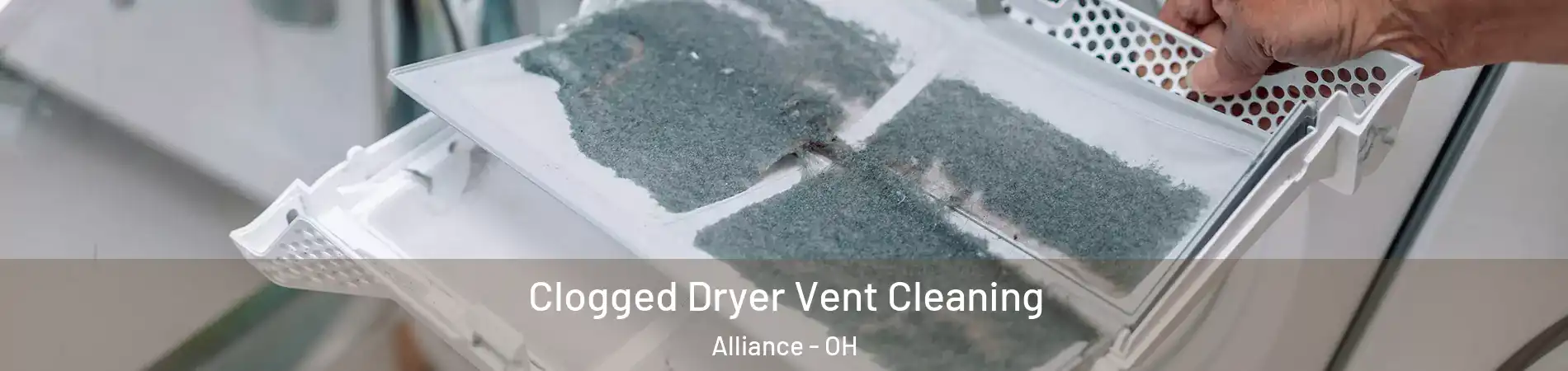  Clogged Dryer Vent Cleaning Alliance - OH