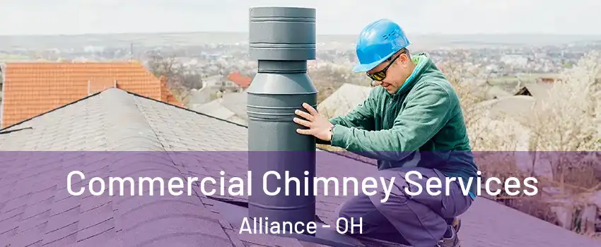  Commercial Chimney Services Alliance - OH