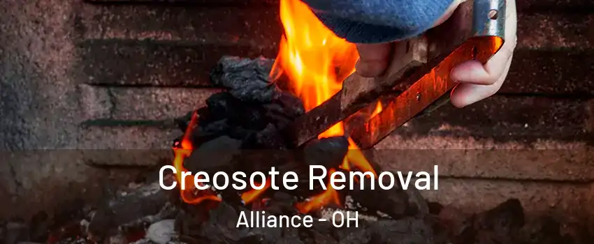  Creosote Removal Alliance - OH