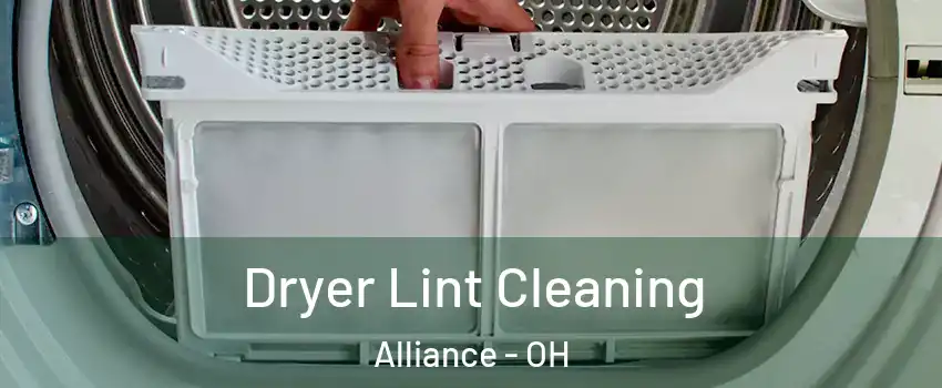  Dryer Lint Cleaning Alliance - OH