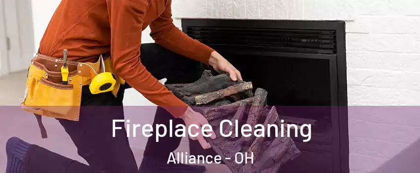  Fireplace Cleaning Alliance - OH