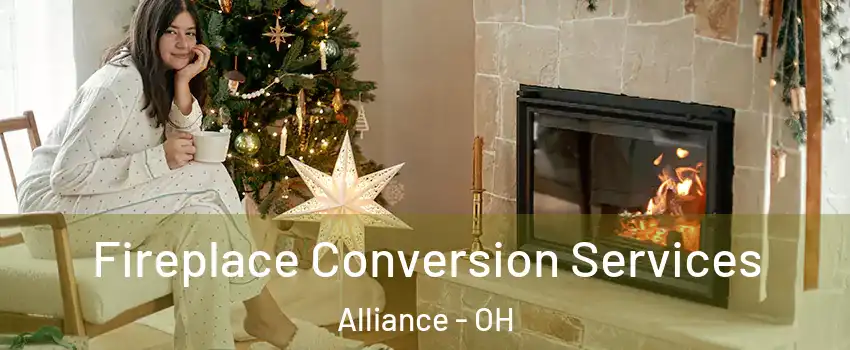  Fireplace Conversion Services Alliance - OH