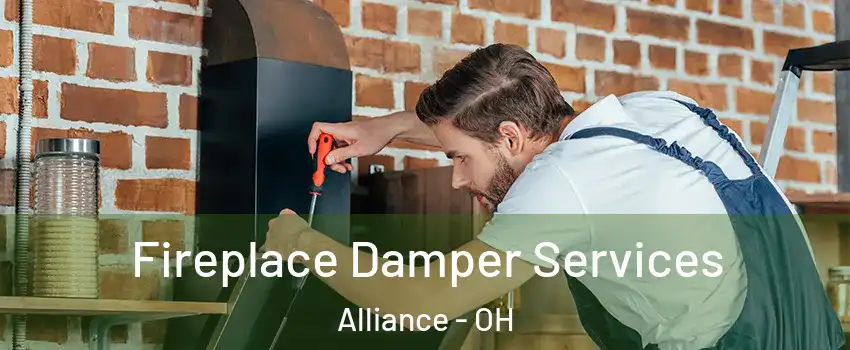  Fireplace Damper Services Alliance - OH