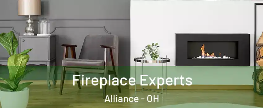  Fireplace Experts Alliance - OH