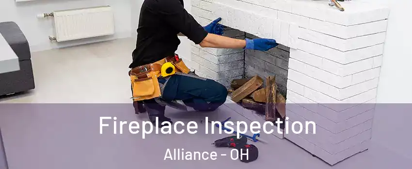  Fireplace Inspection Alliance - OH
