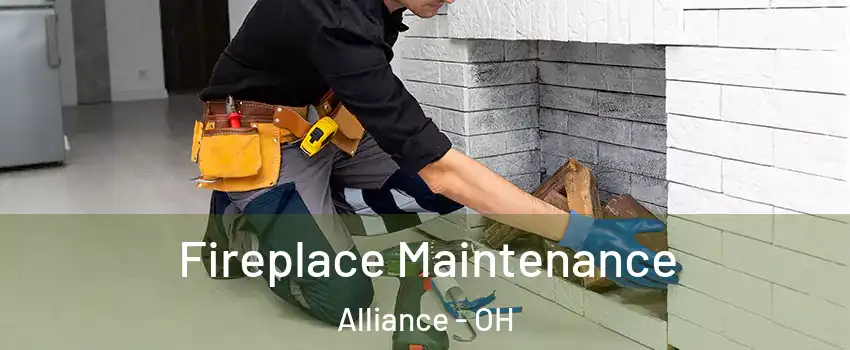  Fireplace Maintenance Alliance - OH