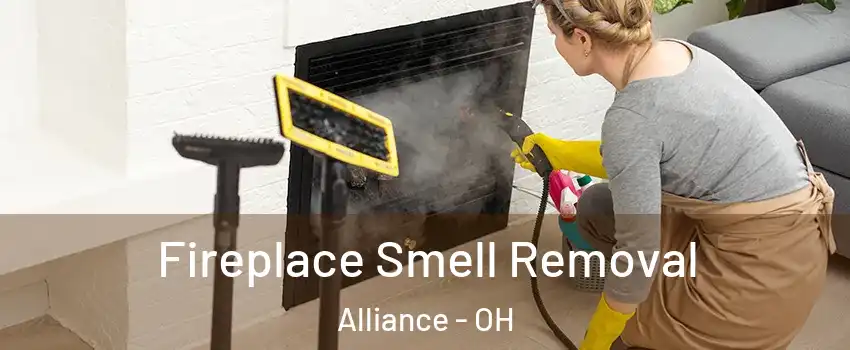  Fireplace Smell Removal Alliance - OH