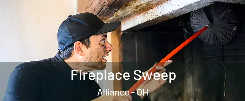  Fireplace Sweep Alliance - OH