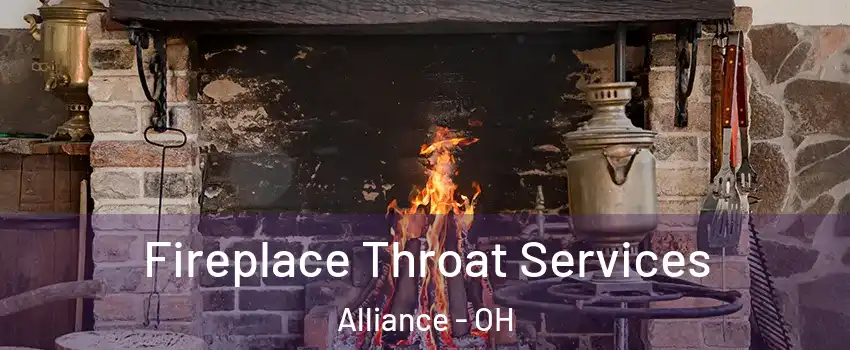  Fireplace Throat Services Alliance - OH