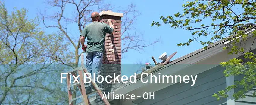  Fix Blocked Chimney Alliance - OH