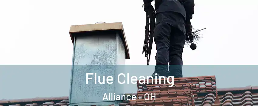  Flue Cleaning Alliance - OH