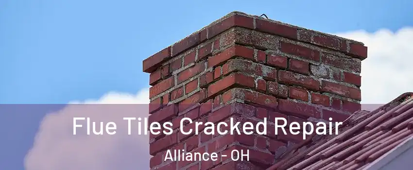  Flue Tiles Cracked Repair Alliance - OH