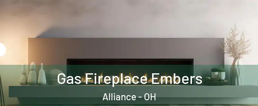  Gas Fireplace Embers Alliance - OH