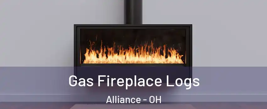  Gas Fireplace Logs Alliance - OH