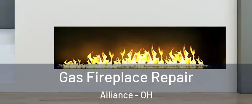  Gas Fireplace Repair Alliance - OH