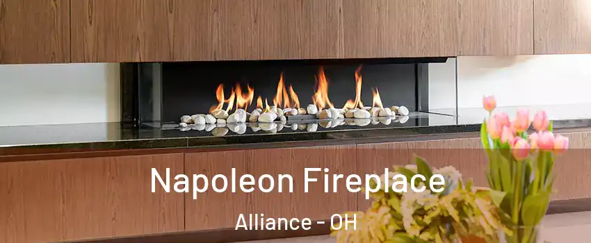  Napoleon Fireplace Alliance - OH