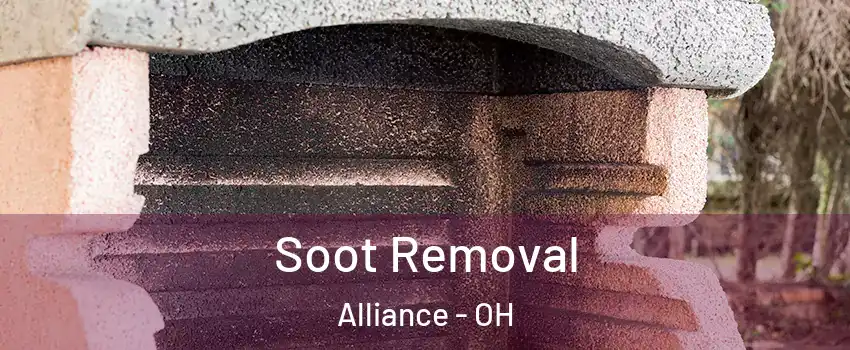  Soot Removal Alliance - OH