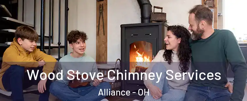  Wood Stove Chimney Services Alliance - OH